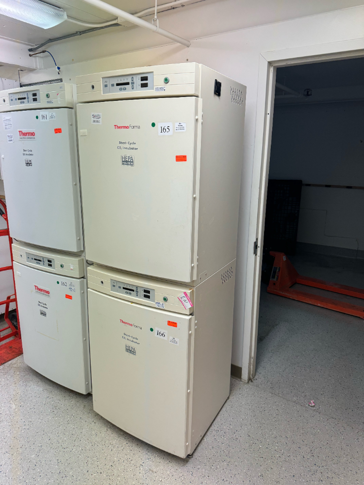 Image of Thermo Electron Steri-Cycle Double Stack CO2 incubator